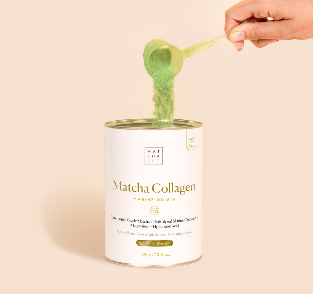 Matcha & CO - Collagène marin au matcha